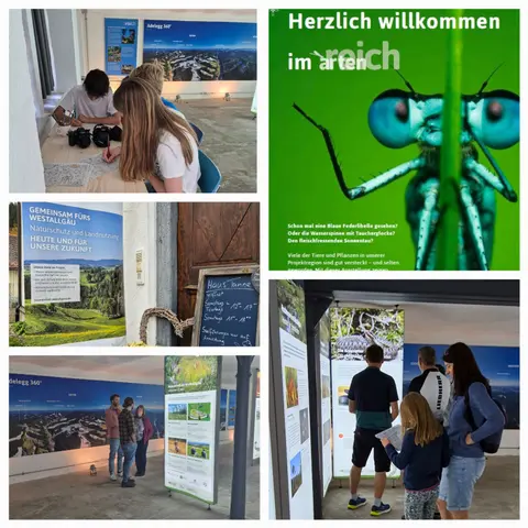 "artenreich" - die Ausstellung im Herzen der Adelegg